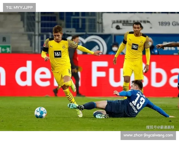 德甲群众体育发展：业余联赛与职业梯队合作